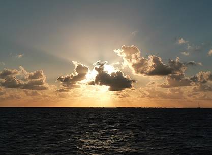 8 genussvolle Segeltage ab Enkhuizen an Bord der Amore Vici auf dem IJsselmeer und/oder im Weltnaturerbe Wattenmeer