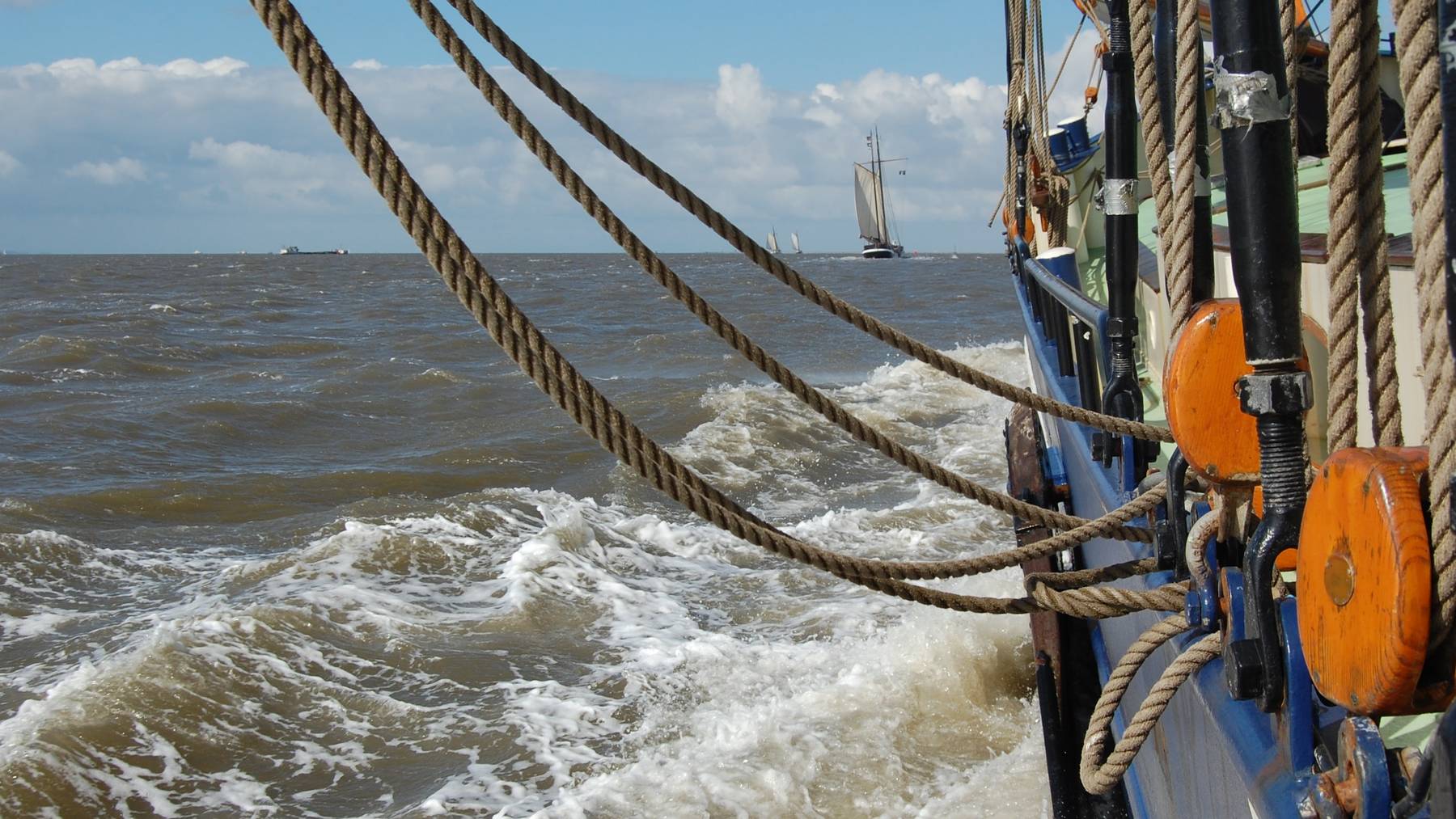 6 genussvolle Segeltage ab Harlingen an Bord der Morgana im Weltnaturerbe Wattenmeer und/oder auf dem IJsselmeer 
