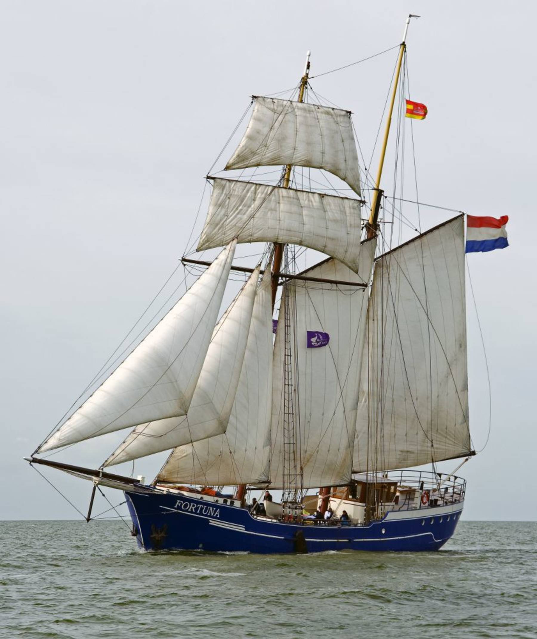 Verlängertes Wochenende segeln mit der Fortuna ab Enkhuizen auf dem IJsselmeer und/oder Wattenmeer