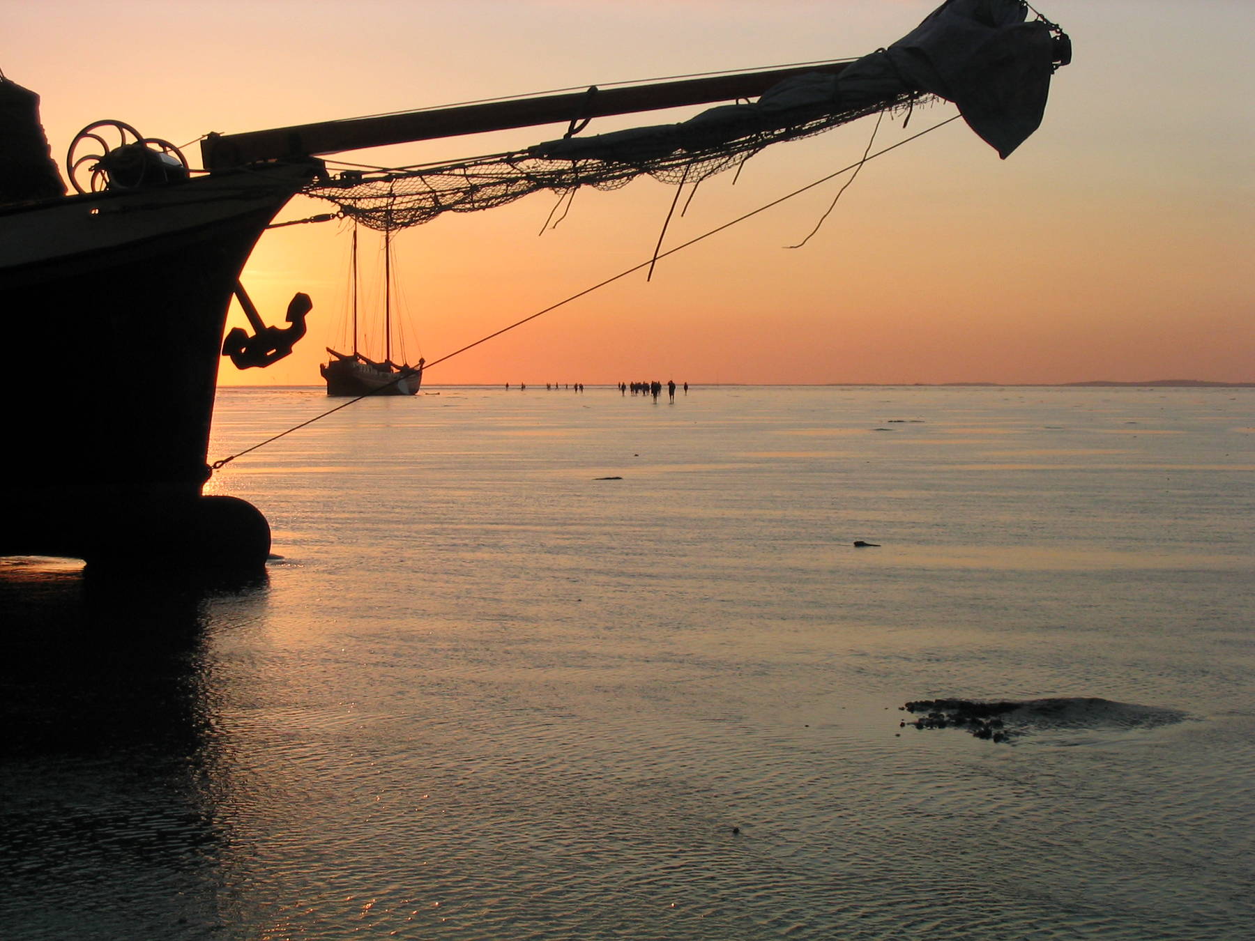 Met pasen zeilen met de Waterwolf op het IJsselmeer of Waddenzee vanuit Harlingen
