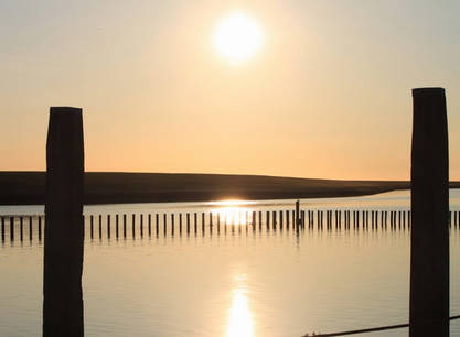 Adults only: Slow travel zeilreis op de Vertrouwen vanuit Harlingen (6 dagen)