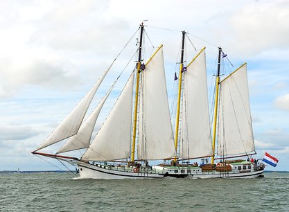 Grote Beer - erstklassig, imposant, groszügig