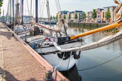 AopZ_Zuid Holland_20190725_1.jpg