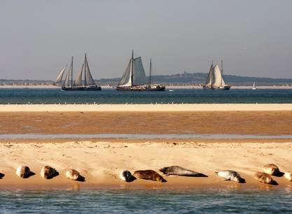 Met pasen zeilen met de Waterwolf op het IJsselmeer of Waddenzee vanuit Harlingen