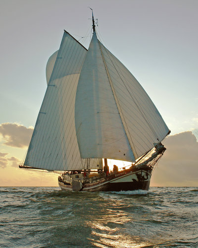 Waterwolf Beurtveer 2008.jpg