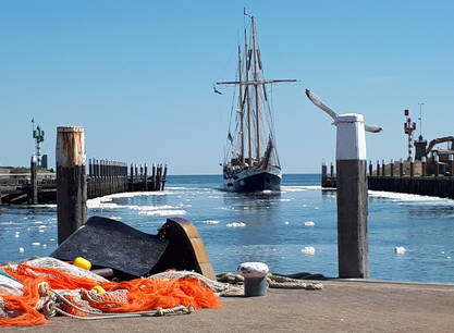 Osterurlaub auf dem Wattenmeer: 5 Tage durchatmen und genießen ab Harlingen