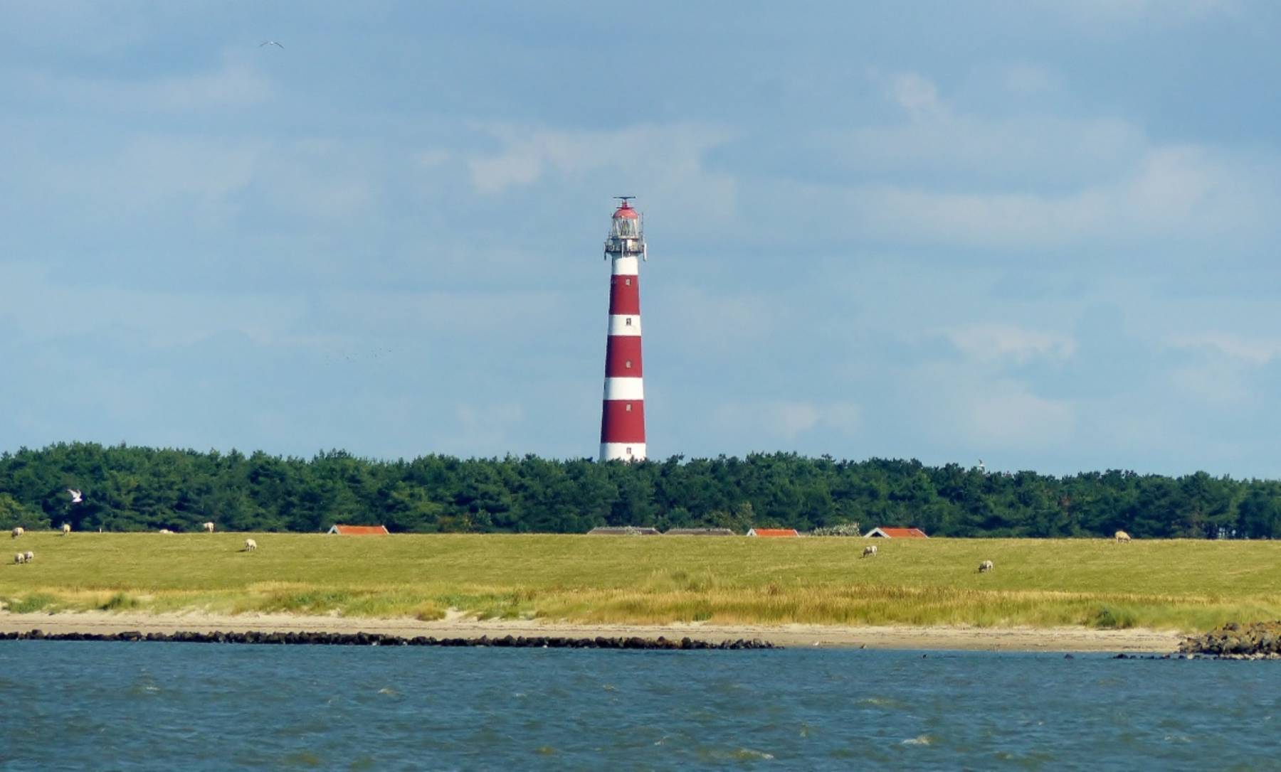 8-daagse Wadden Zeil-Zwerftocht op zeilschip Boreas
