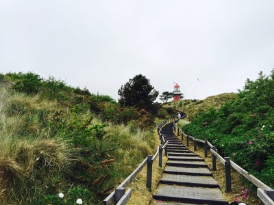 Vuurtoren wandelpad.jpg