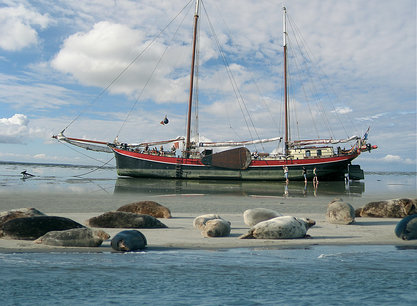 6-daagse zeilvakantie aan boord van zeilschip Aegir vanuit Harlingen op de Waddenzee en/of het IJsselmeer