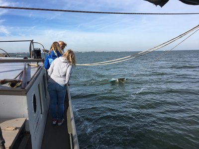 Eigen foto - science - Manta Trawl 3 (1).JPG