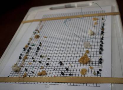 Segeln, entdecken und zu einer saubereren Wattensee beitrage, ein Wochenende an Bord der Morgana