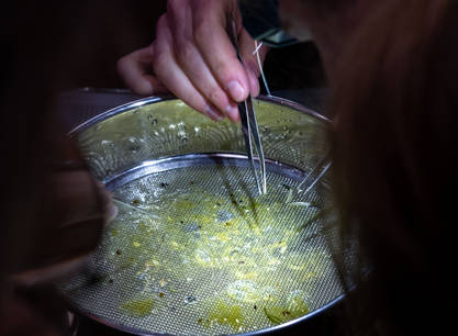 Segeln, entdecken und zu einer saubereren Wattensee beitrage, ein Wochenende an Bord der Morgana