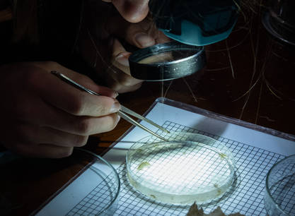 Segeln, entdecken und zu einer saubereren Wattensee beitrage, ein Wochenende an Bord der Morgana