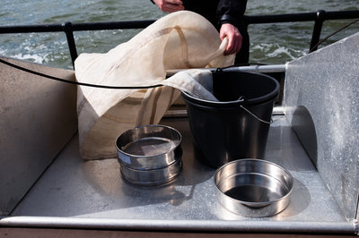 TheOceanMovement_dagtocht_MariekedenOuden_26-04-2024-klein-3318.jpg