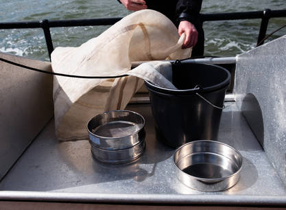 Segeln, entdecken und zu einer saubereren Wattensee beitrage, ein Wochenende an Bord der Morgana