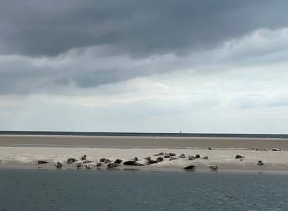 Zeilen, koken & genieten – 8-daagse Wadden Zeil-Zwerftocht op de Boreas