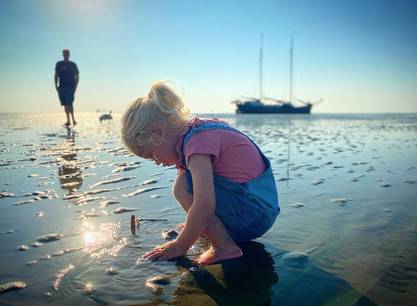 Ein Wochenende Segeln und Trockenfallen mit dem Segelschiff Poolster ab Harlingen auf dem Wattenmeer