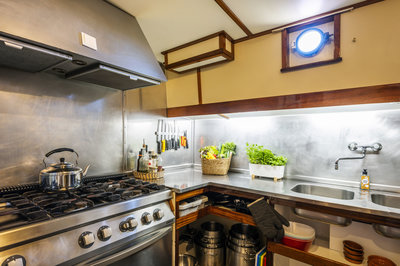 iselmar 046 paul starink.jpg