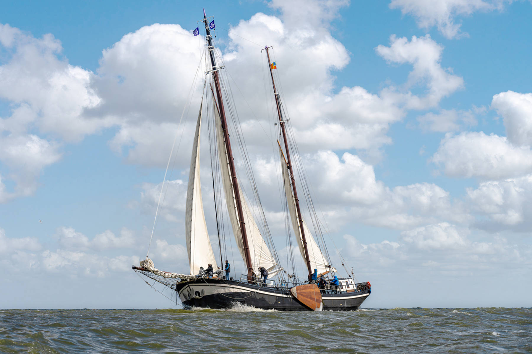 6 genussvolle Segeltage ab Enkhuizen an Bord der Mon Desir auf dem IJsselmeer und/oder im Weltnaturerbe Wattenmeer