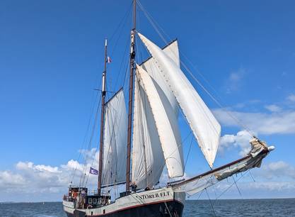 Ein Wochenende mit dem Segelschiff Storebælt ab Harlingen auf dem Wattenmeer segeln