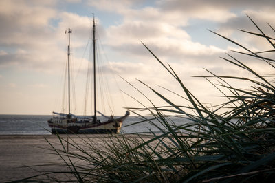 Waterwolf vanuit de Duinen Ameland.jpg