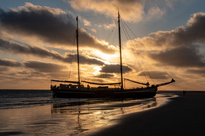 Waterwolf op Ameland.jpg