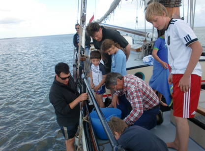 Weekend zeilen op de Waddenzee / IJsselmeer vanuit Harlingen