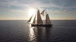 Reiseverlauf Eine unvergessliche Sunset-Waddencruise nach Terschelling