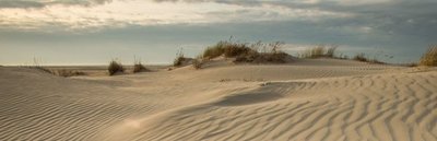 Avontuur Duinen.jpg