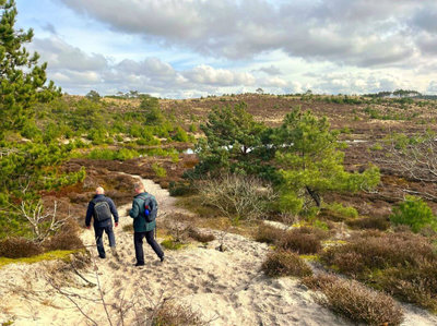 Duinen2.jpg