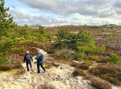 Sunset Waddencruise zum Wattenmeer und nach Terschelling