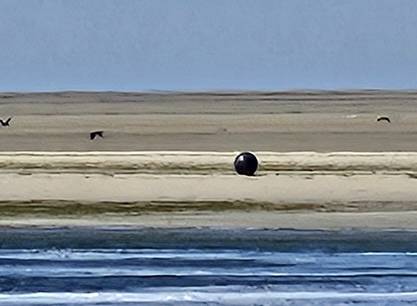 Sunset Waddencruise zum Wattenmeer und nach Terschelling