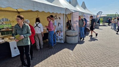 wadden-vogelfestival-vogelinformatiecentrum-2024-61-1024x577.jpg