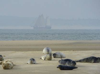 Weekend zeilen aan boord van de Vertrouwen op de Waddenzee vanuit Harlingen