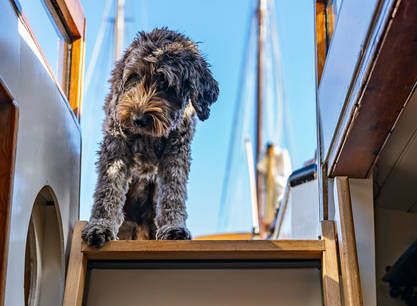 Ein Wochenende an Bord der Kleine Jager ab Enkhuizen segeln auf dem IJsselmeer / Markermeer, noch zwei Betten für Mann verfügbar