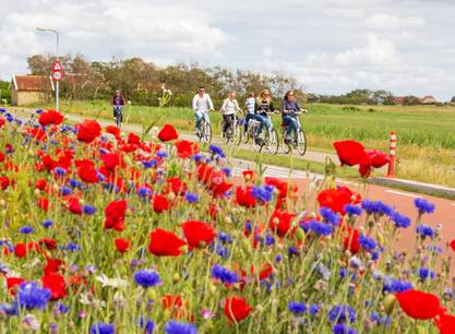 Volledig verzorgde Fiets- & Zeiltocht inclusief fietsen en programma aan boord van de Mon Desir