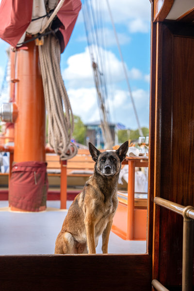 Schip_Radboud_door_Evie_Stroomer_01.jpg